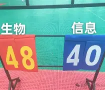 西班牙击败波兰,展现出强大的团队凝聚力的电影